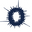 Snapper Rock logo